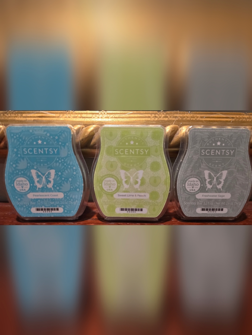 Scentsy Wax Melts (3)